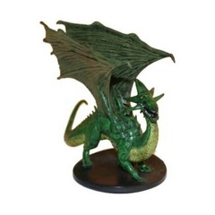 Young Green Dragon